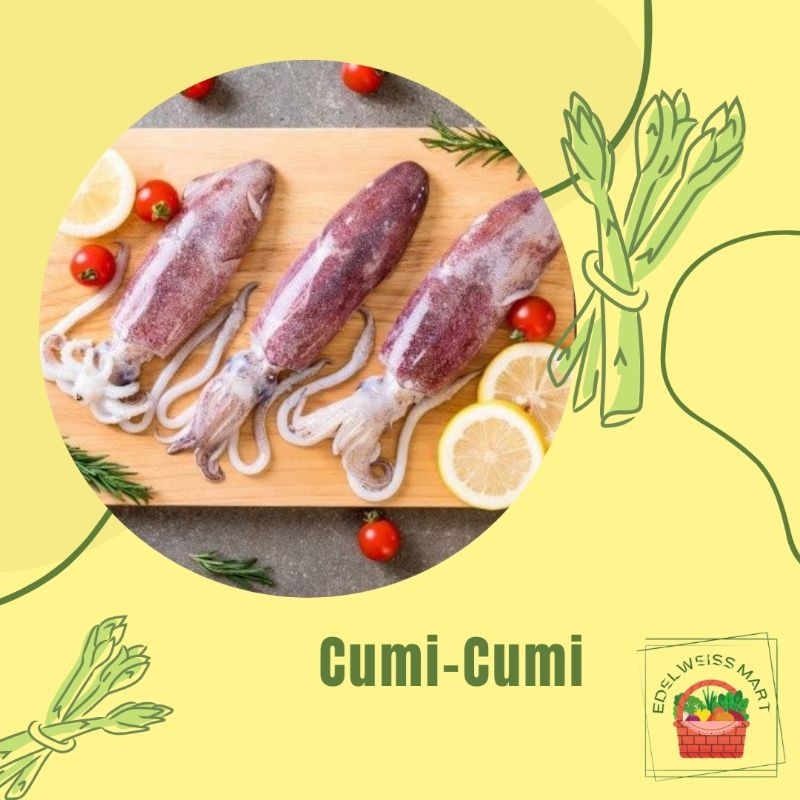 

CUMI CUMI/SOTONG/CUMI SEGAR +-250g (FRESH) - INSTANT SEMARANG