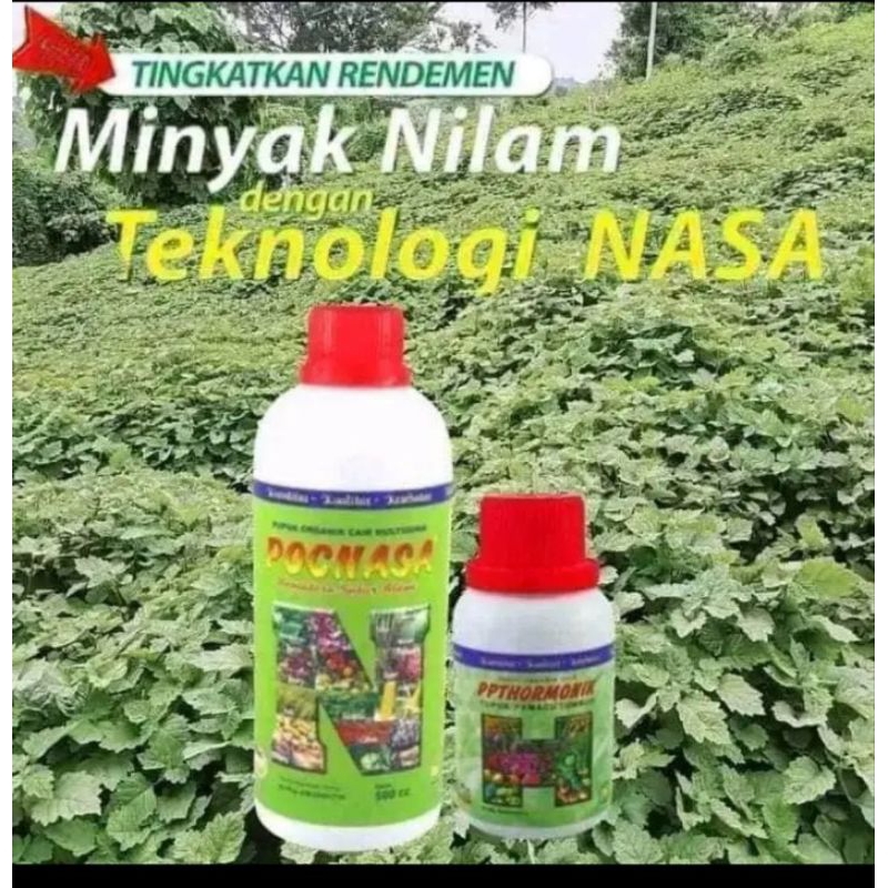 

Pupuj Organik Nilam