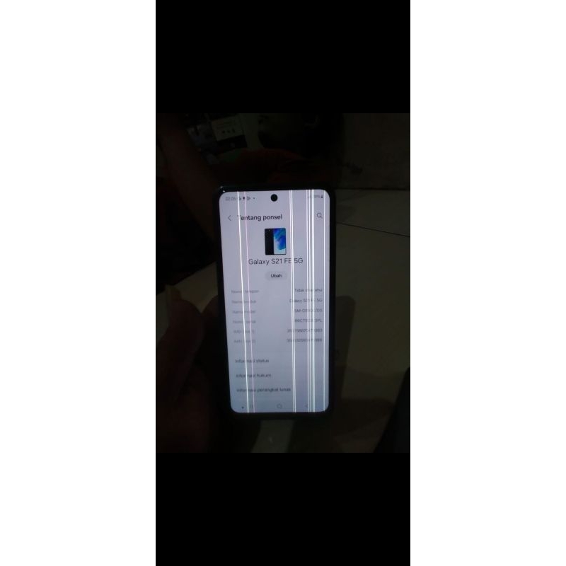 lcd samsung S21FE