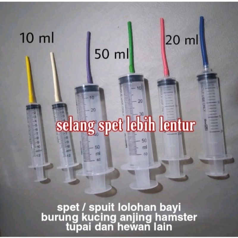 spet lolohan anak burung parkit Macau kakak tua anak kucing dll