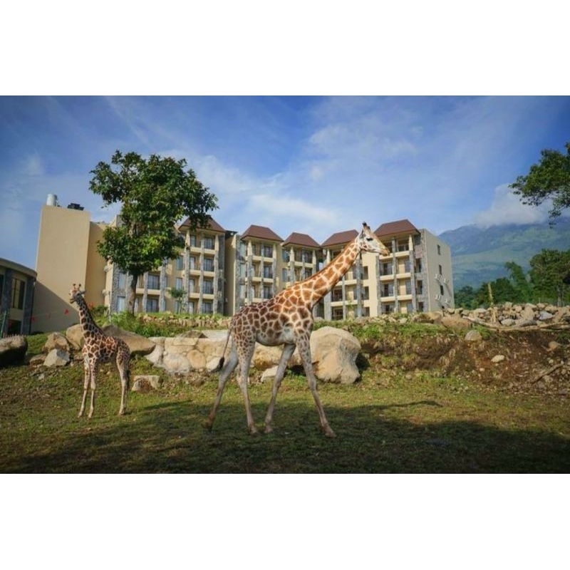 Promo Hotel Baobab Safari Resort Prigen