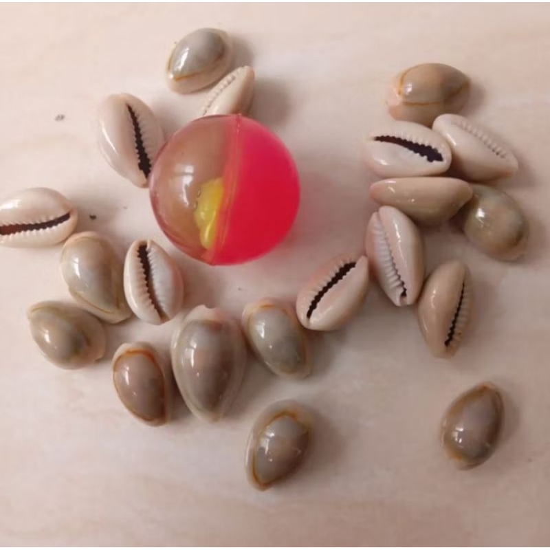 Set Bola Bekel Isi 10 Biji Kerang Asli Mainan Anak Tradisional