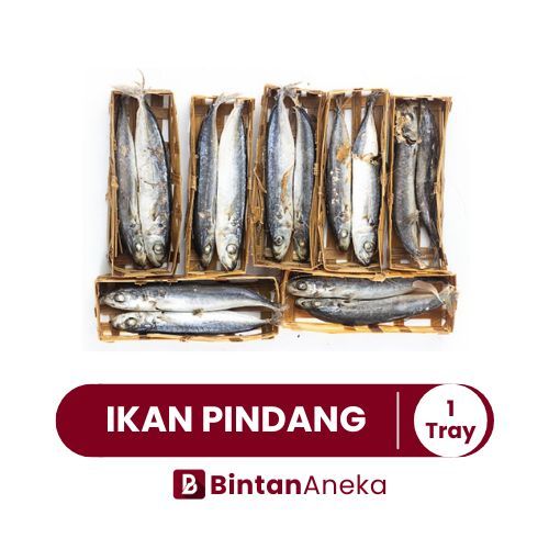 

Ikan Pindang 1 Keranjang / Ikan Pindang Segar (Isi 2)