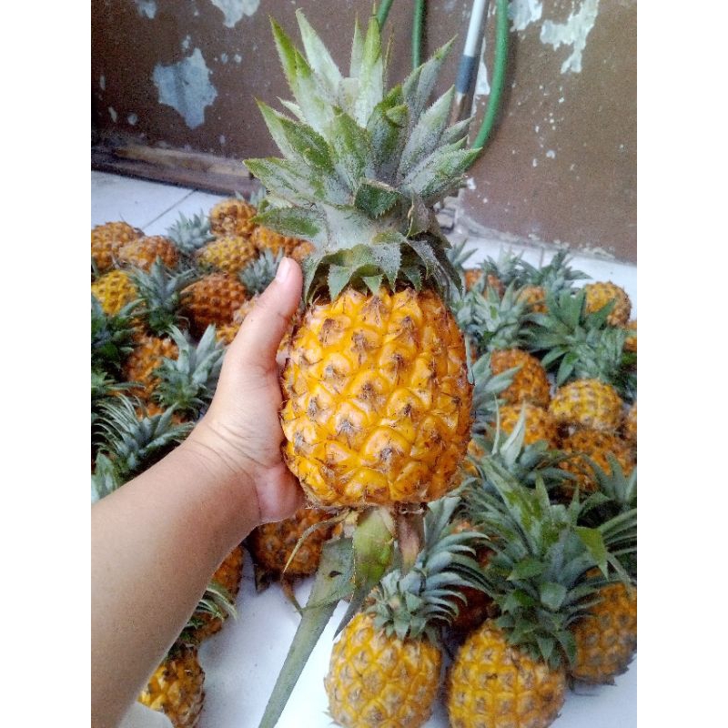 

Nanas Madu Super