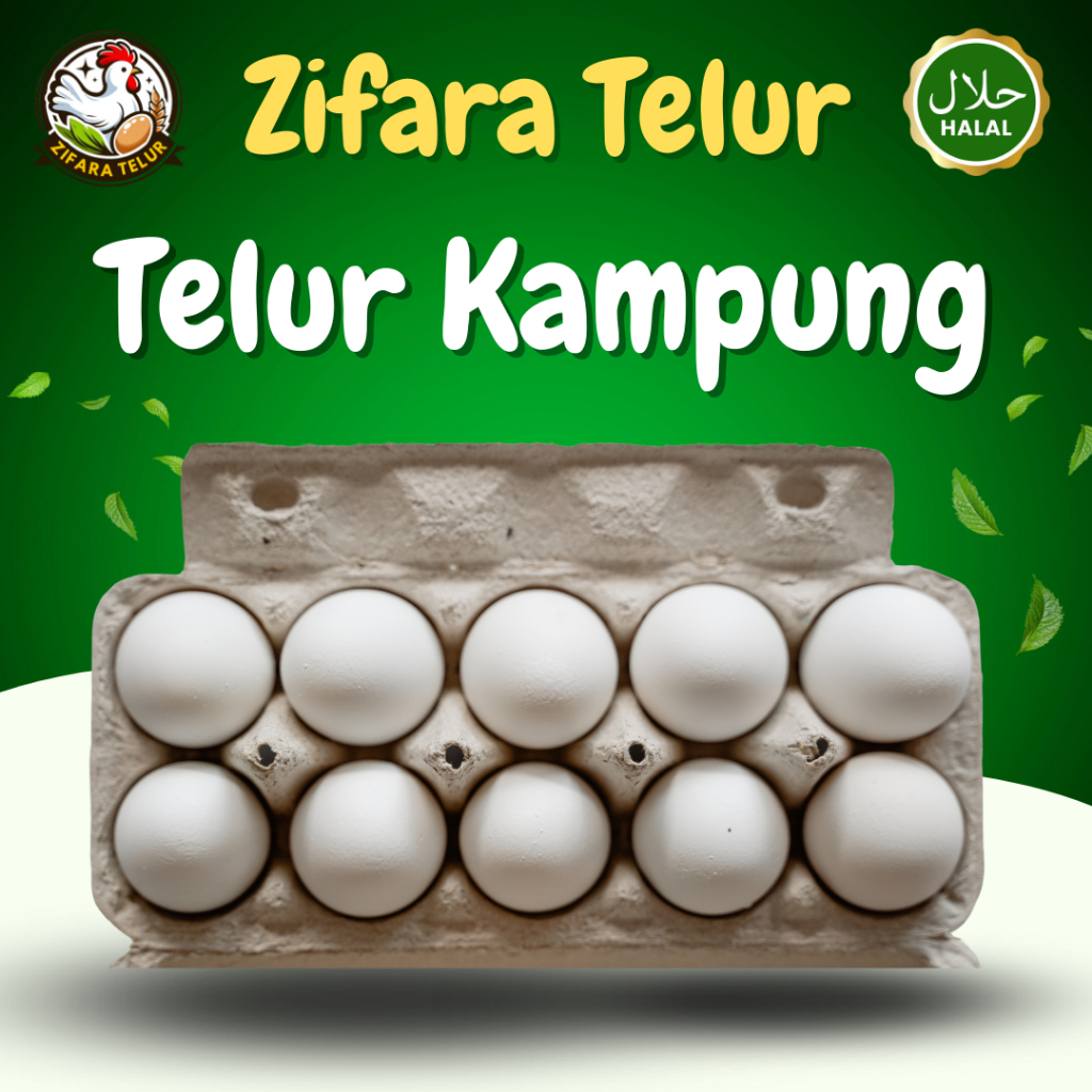 

Zifara Telur - 1 Butir Telur Ayam Kampung PREMIUM