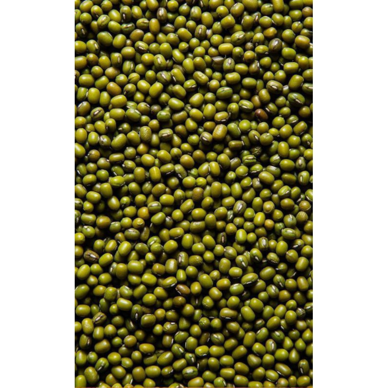 

kacang hijau fress kualitas terbaik