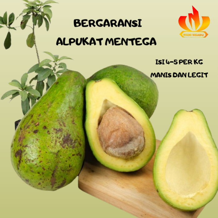 

Alpukat Mentega Bergaransi Fresh 1 Kg Manis Legit