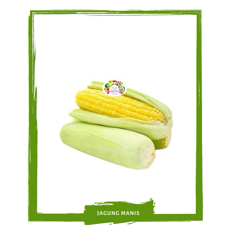 

Jagung Manis / Sayur Segar By Sayur Mallah