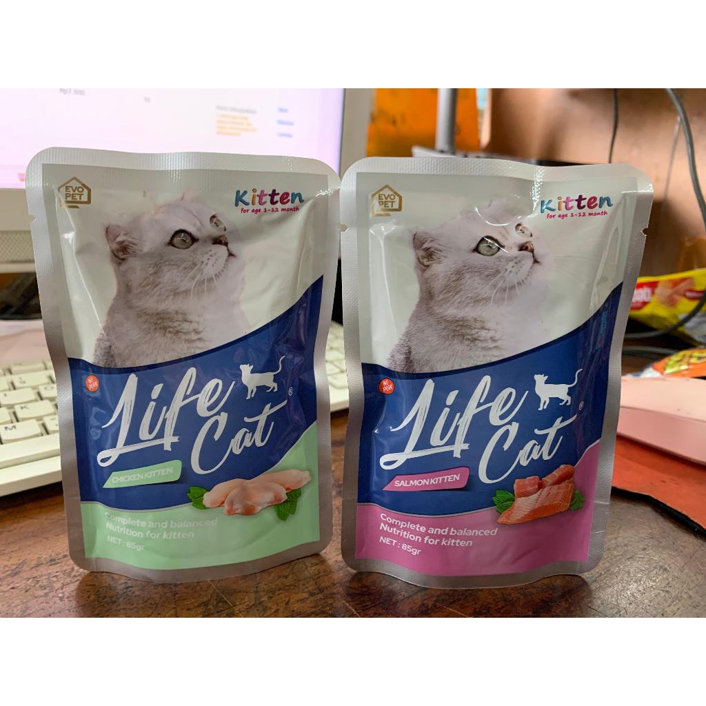 life cat salmon kitten