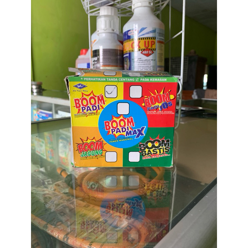 BOM PADI