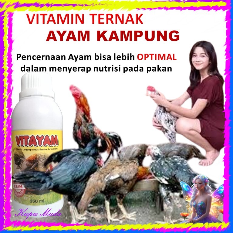 penggemuk ayam kampung / vitamin ayam ternak / Vitamin ayam cepat besar / Vitamin ayam