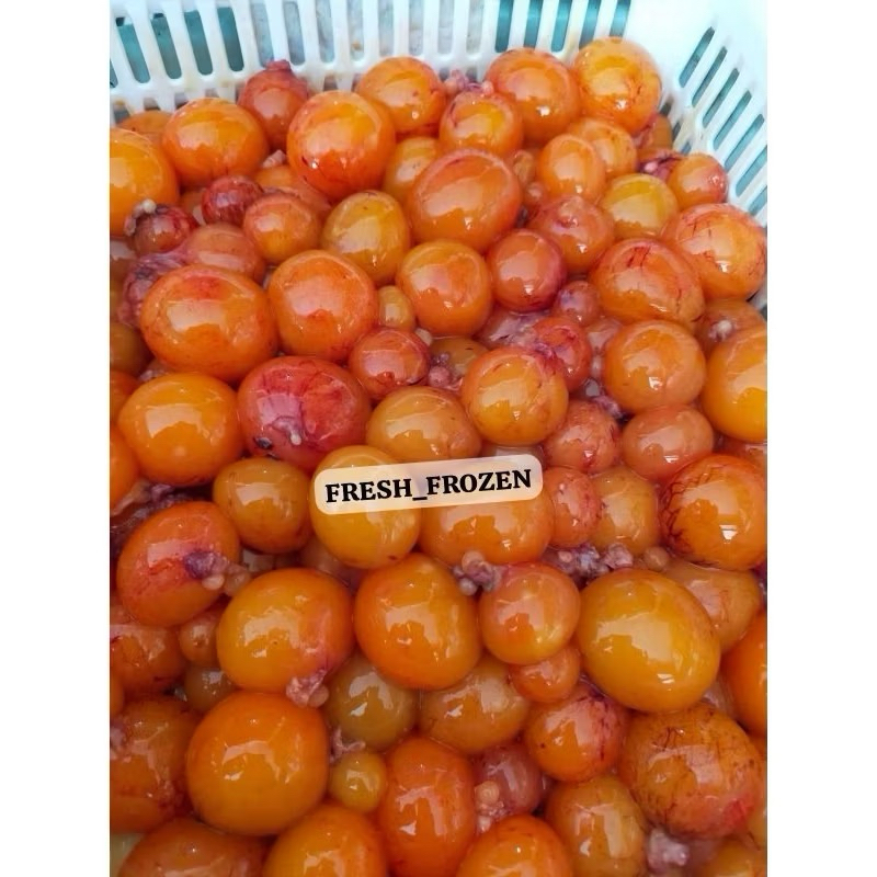 

Telur Muda Ayam kemasan 1 kg kondisi beku ( TIDaK COD) kalau anda serius beli jangan cod