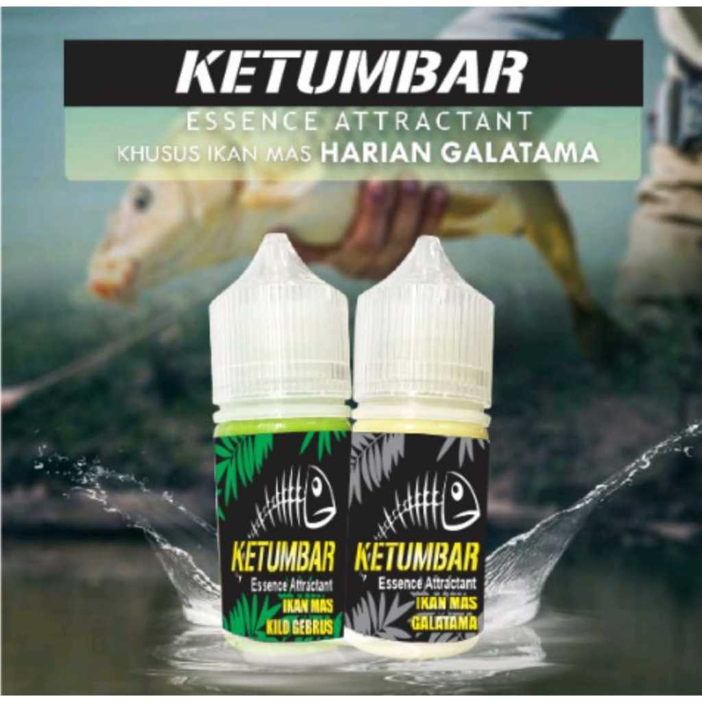 Katumbiri Essen Ikan Mas Mancing Galatama Lomba Harian