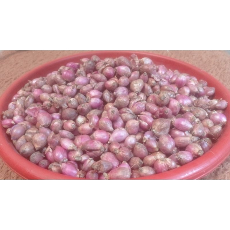 

Bawang merah / Bawang Merah