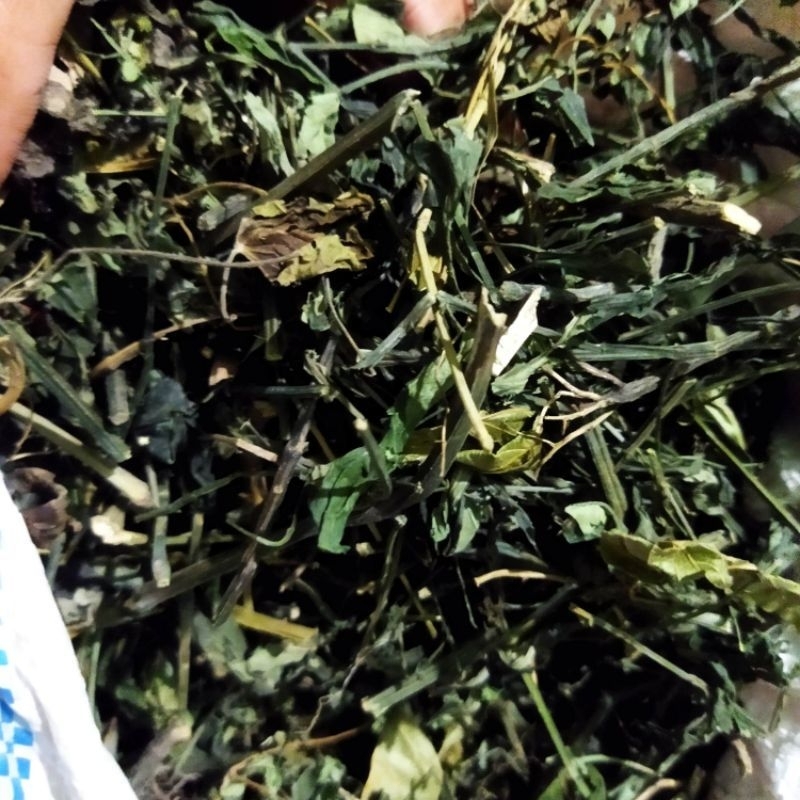 

SAMBILOTO KERING 1 KG / DAUN SAMBILOTO KERING / SAMBILOTO premium / HERBAL / JAMU / SIMPLISIA