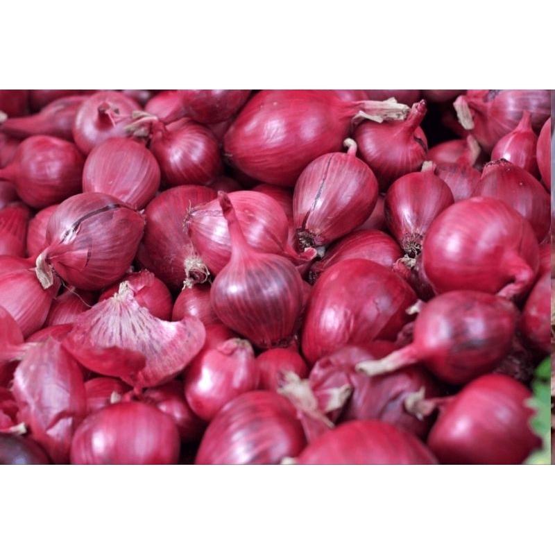 

Bawang Merah Jawa Local Pride Kering Merah Merona 500gr