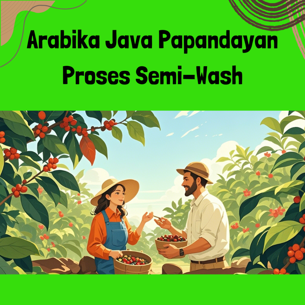 

Kopi Arabika Java Papandayan (Specialty Grade) - Proses SemiWash - 200G