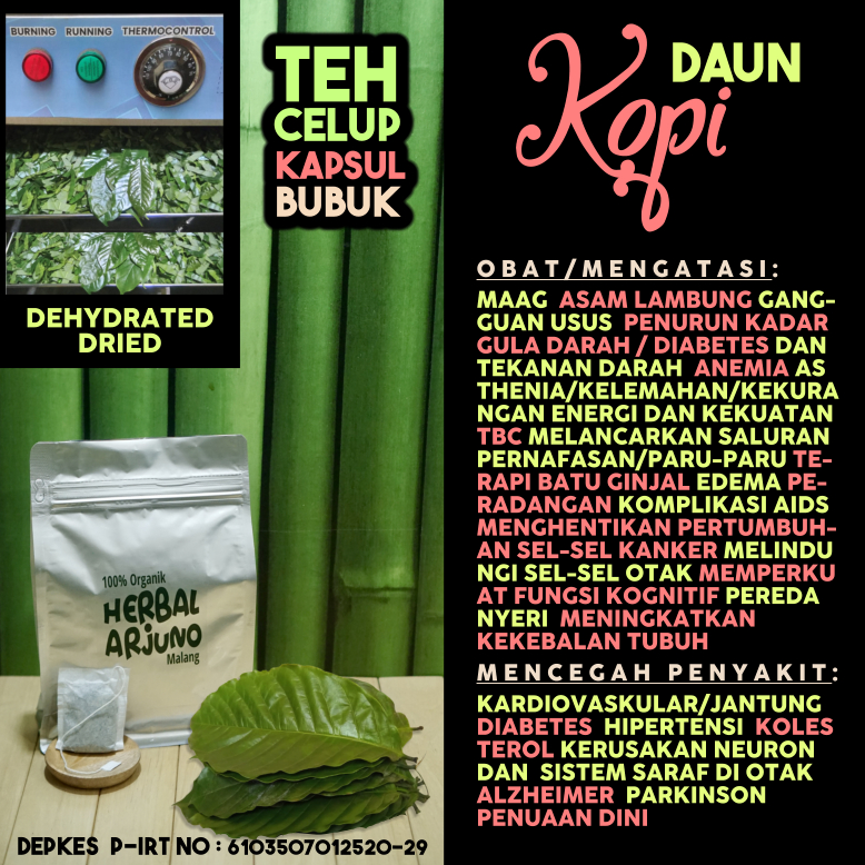 

Dehydrated Dried Teh Celup Kapsul Bubuk Daun Kopi Obat Maag Asam Lambung Anemia TBC Paru-Paru Gula Tekanan Darah Tinggi Asthenia Diabetes Hipertensi Peradangan Fungsi Kognitif Alzheimer Parkinson Jantung Kanker Komplikasi AIDS Batu Ginjal Herbal Alami