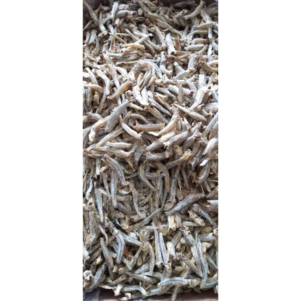 

COD ikan asin teri jengki bulat / teri cue 1 kg murah