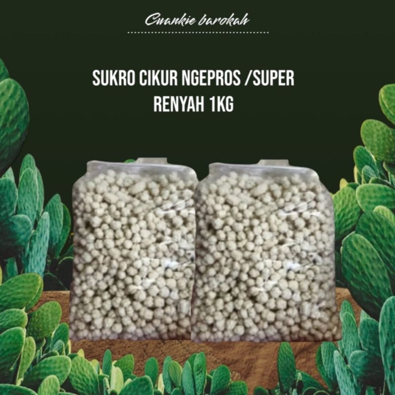 

Sukro cikur ngepros/super renyah 1kg