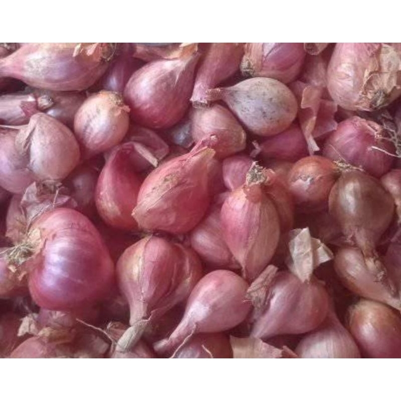 

Bawang merah 1 kilo