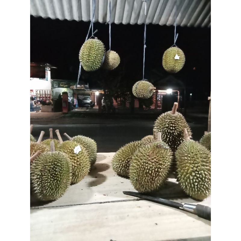 

durian
