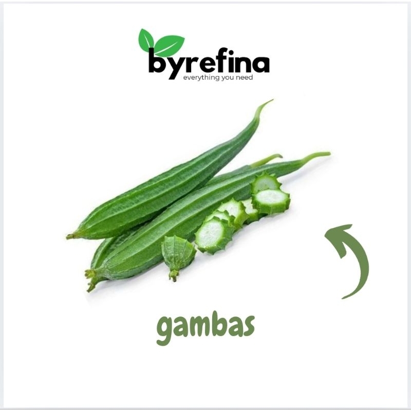 

Gambas / Oyong 500gr - 1kg Surabaya / Byrefina