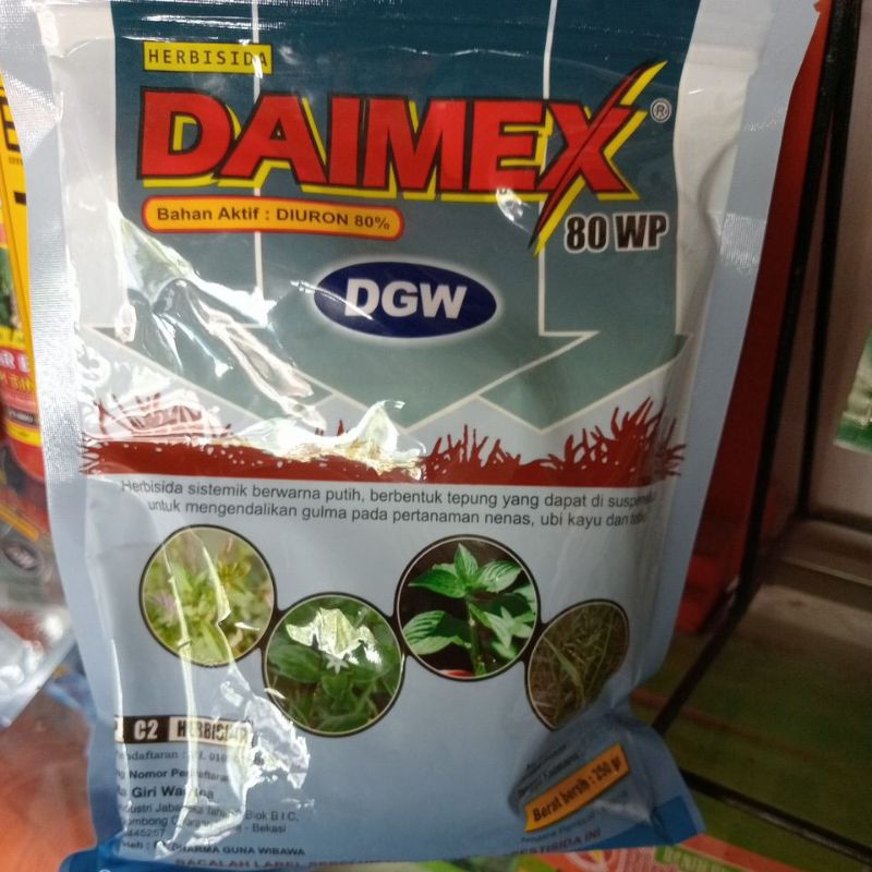 herbisida Daimex 250 gram