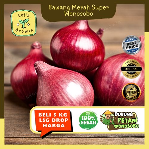 

Growia | Bawang Merah Super RECO WONOSOBO 500 gr - Mulai 1 Kg Grosir Mulai 5 Kg Termurah
