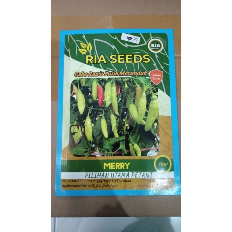 

Cabe rawit merry putih merunduk 10 gram Ria seed