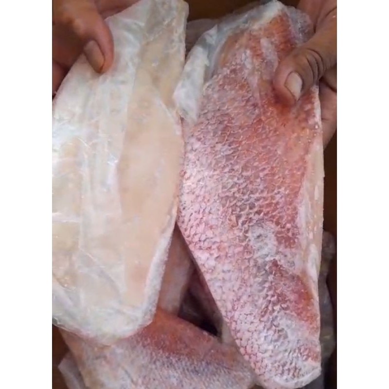 

Kakap merah fillet 1 kg 3-4 pcs