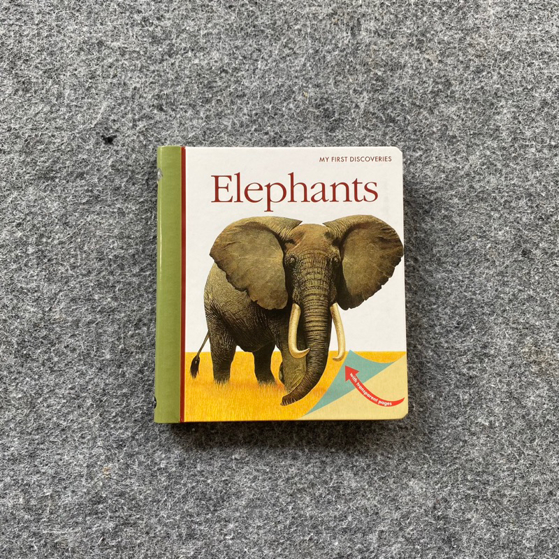 My First Discoveries Elephants