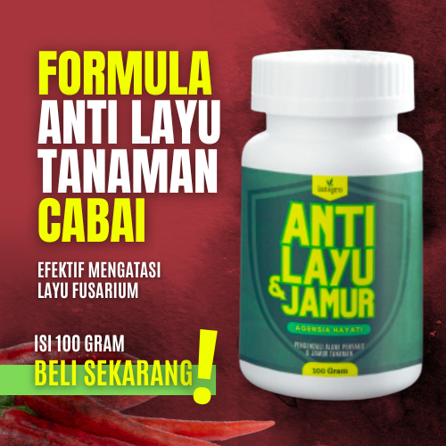 Anti Layu Bakteri Fusarium Pengurai Pembenah Tanah Pengendali Busuk Tanaman Cabe Fungisida Trichoder