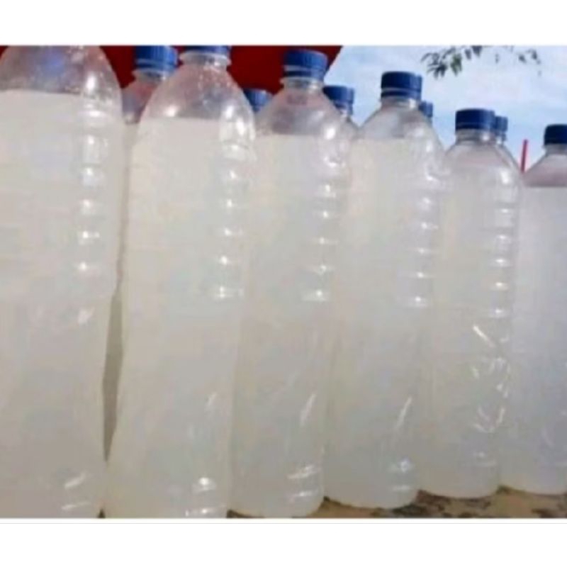 

MINUMAN LEGEN 1,5 LITER 100% ASLI TUBAN (PACKING SESUAI SOP & UNTUK KESEHATAN)