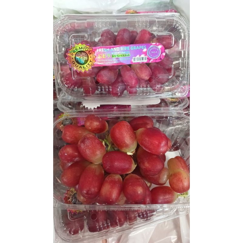 

ANGGUR RED MUSCAT (PACK)