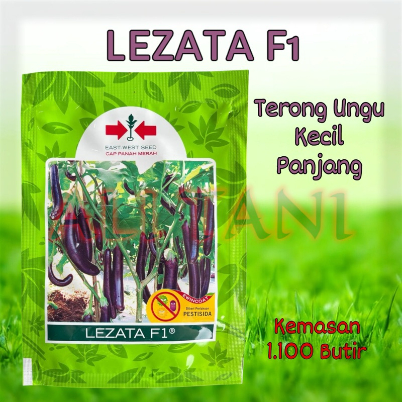 LEZATA F1 Benih/Bibit Terung/Terong Ungu Panjang cap Panah Merah EWSI