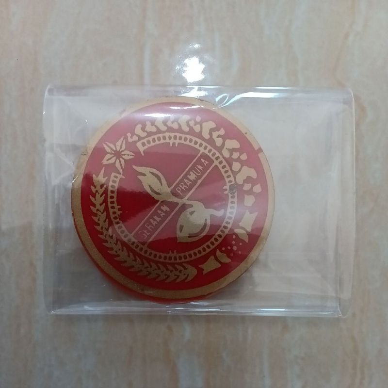 Pin Topi Pramuka Penggalang Putri