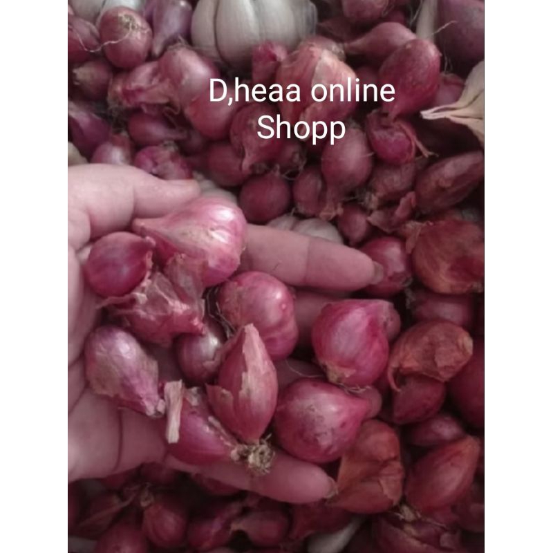 

BAWANG MERAH KERING Campur 500 grm harga 15.000