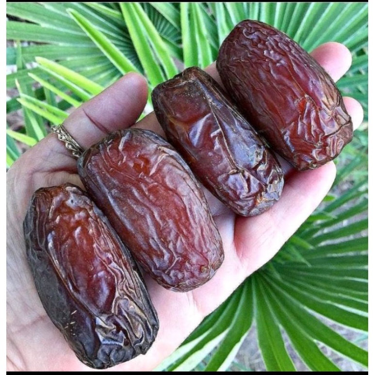 

Kurma Medjool Mejol Dates Kurma Jumbo Palestine 500 Gr