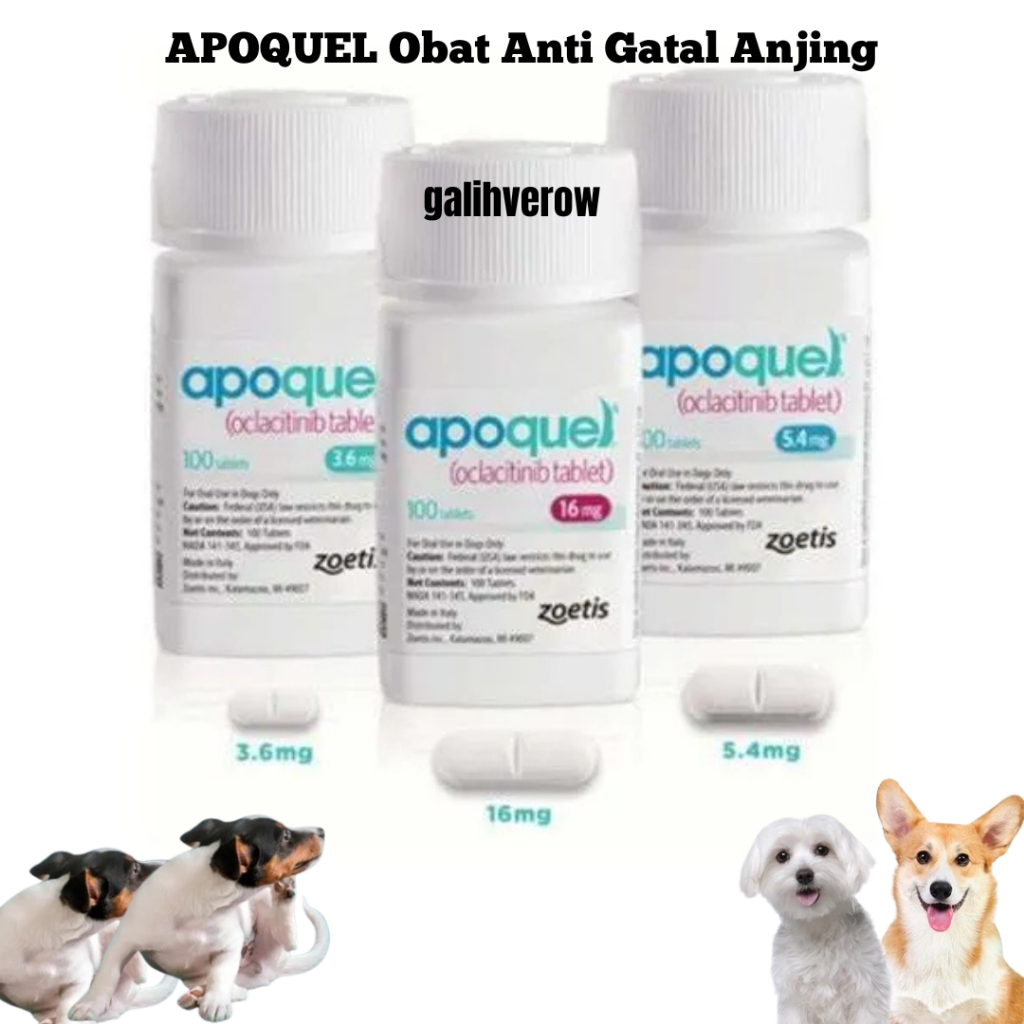Apoquel (Oclacatinib Tablet) Obat Anti Gatal Anjing zoetis - (10 Tablet)