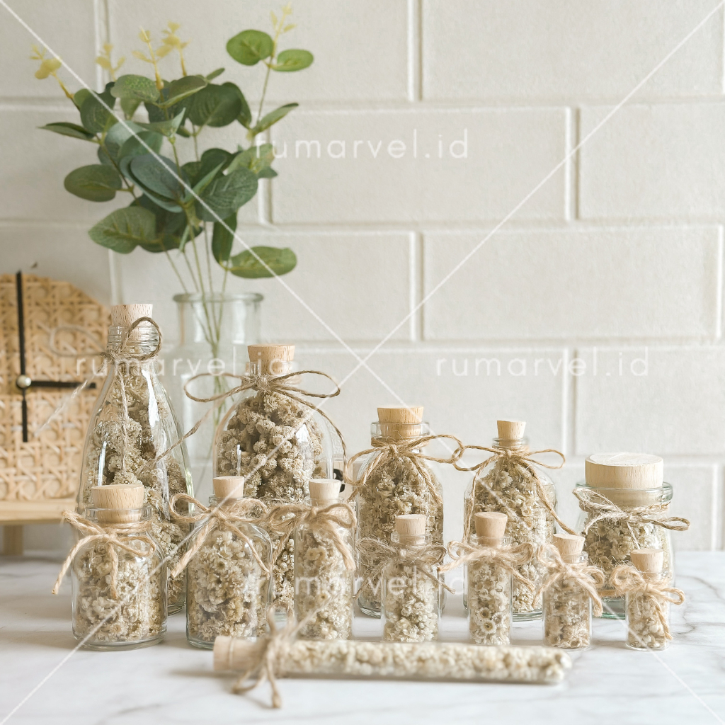 EDELWEIS IN BOTTLE | PAJANGAN AESTHETIC BOTOL BUNGA EDELWEIS KERING | BOTOL VAS EDELWEIS | BOTOL BVA