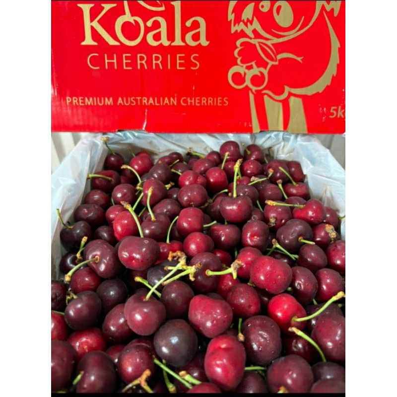 

cherry koala manis 5kg box