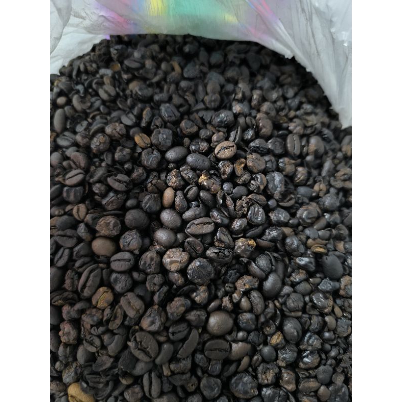 

BIJI & BUBUK KOPI ROBUSTA IJEN BONDOWOSO