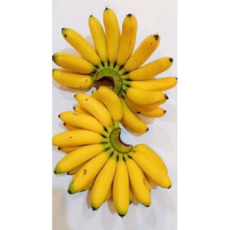 

Pisang Banten 1 Sisir