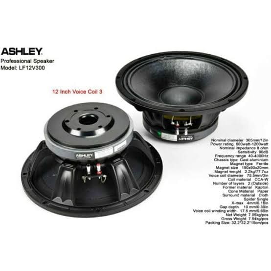 speaker ashley LF12V300 lf12v300 lf 12v300 lf 12 v300 12inch original