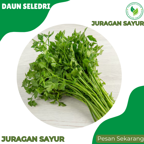 

Daun Seledri Segar - Daun Seledri Batang Besar - Seledri Besar - Juragan Sayur
