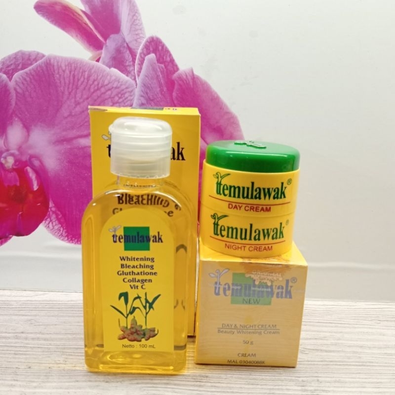 paket cream dan toner temulawak original