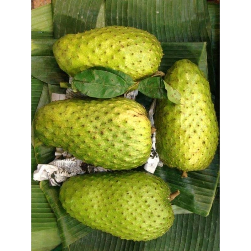 

BUAH SIRSAK FRES MURAH 1KG