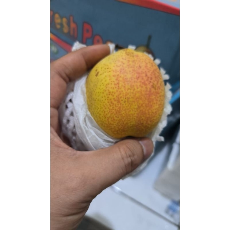 

500 gram pear Xiang lie
