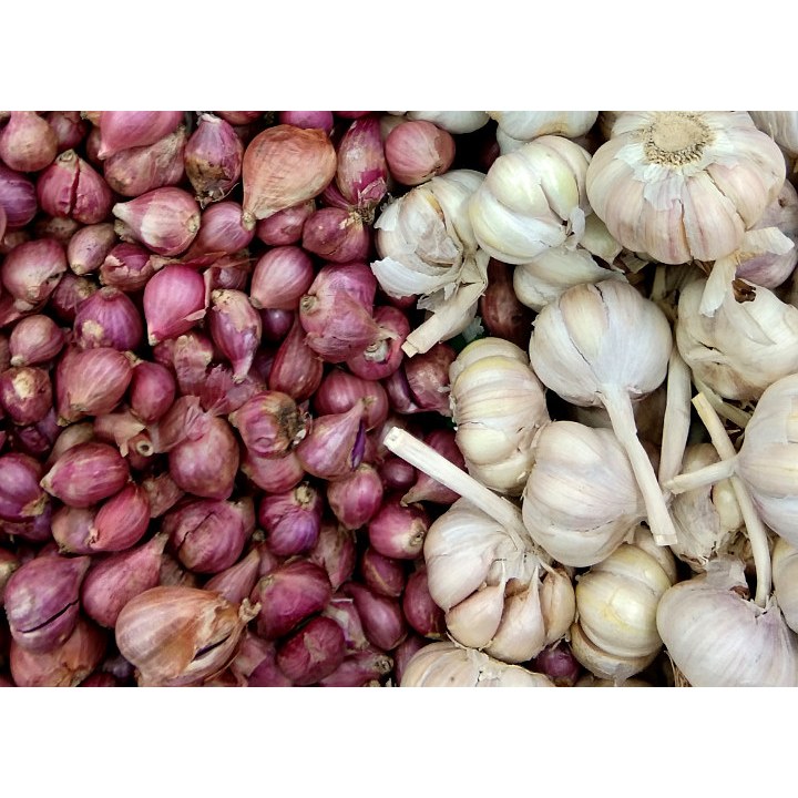 

BAWANG PUTIH KATING 1/2 KG + BAWANG MERAH 1/2 KG FRESH BERSIH